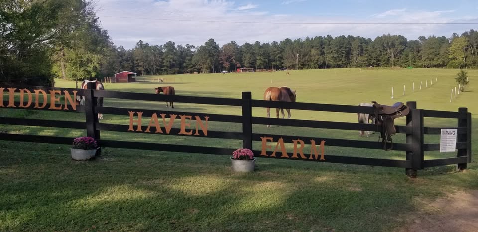 our yard image